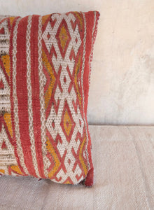 Vintage Moroccan Cushion