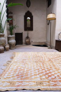 Boujad Vintage Rug 8.6' x 6.2'