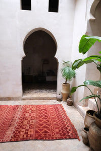 Authentic vintage Zemmour Moroccan rug in a rich raspberry color packed with many intricate motifs 